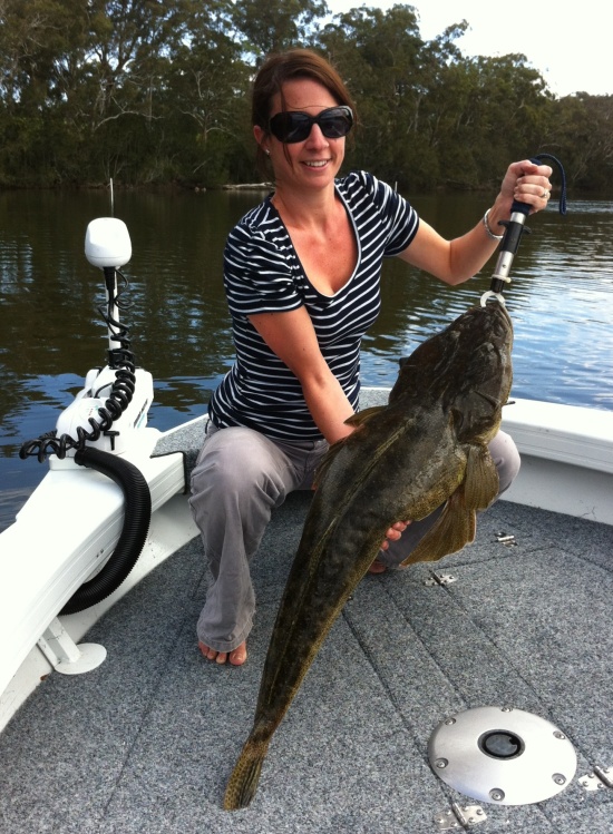 Over 20,000 trout cod were recently released into the Macquarie River at three locations downstream of Bathurst.